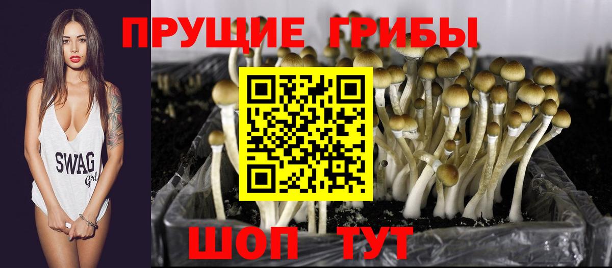 Комсомольск-на-Амуре  Псилоцибиновые грибы Magic Shrooms  Псилоцибиновые грибы ЛСД  Вход с VPN 